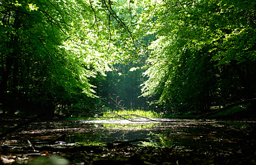 Nationalpark-Zentrum Königsstuhl