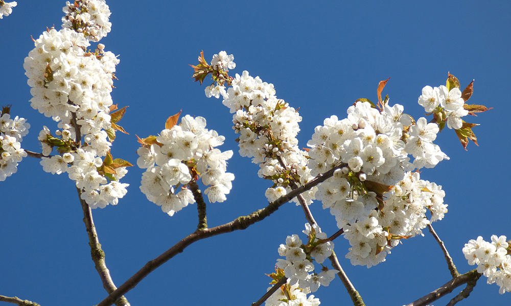 Frühling an der Ostsee