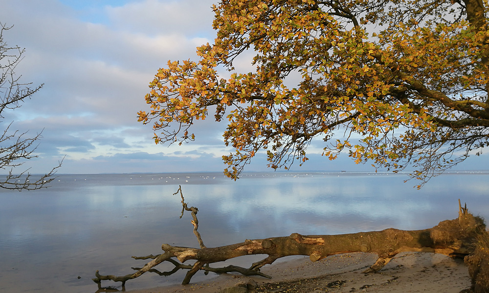 Herbst an der Ostsee