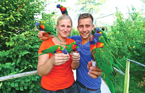 Vogelpark Marlow Rostock